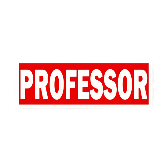 Professor